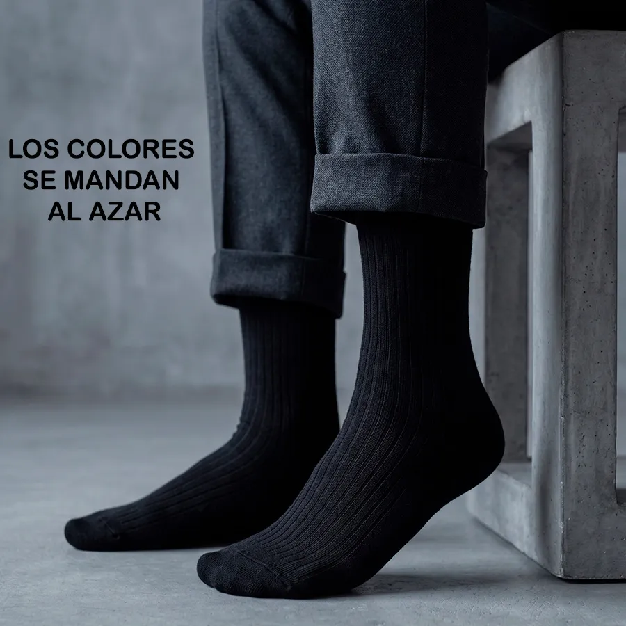 AE13-2 EDICION 11828